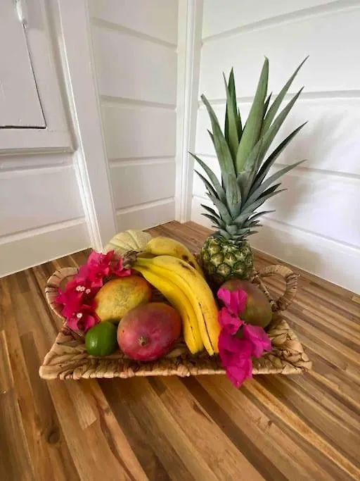 Kaz'Ary Villa Sainte-Anne  Guadeloupe